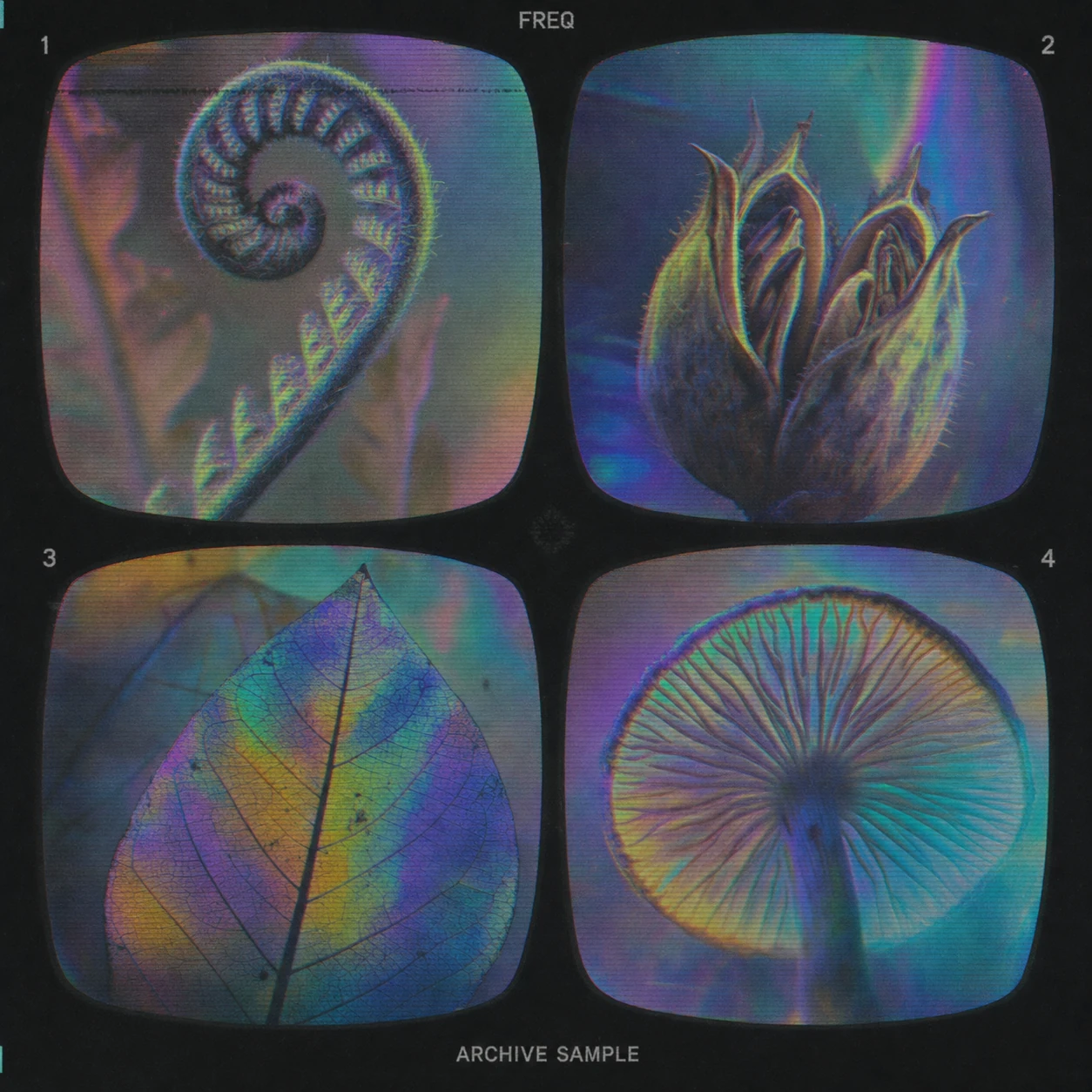 A 2x2 grid of numbered, holographic-tinted botanical macro photographs framed like vintage CRT screens on a black backdrop.