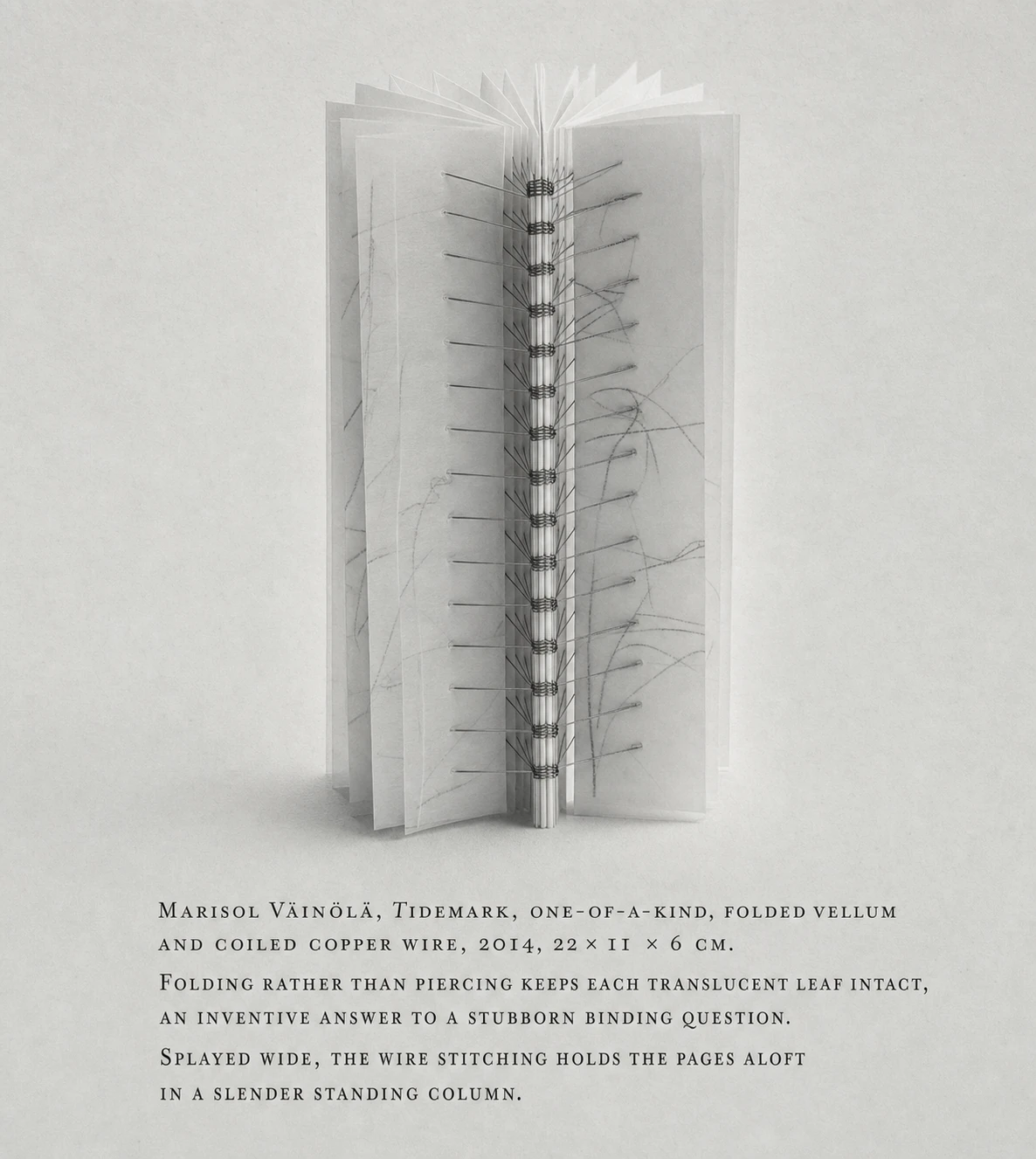 A minimalist gallery-style photograph of a standing artist's book with translucent vellum pages bound by coiled wire, accompanied by a caption set in elegant sm