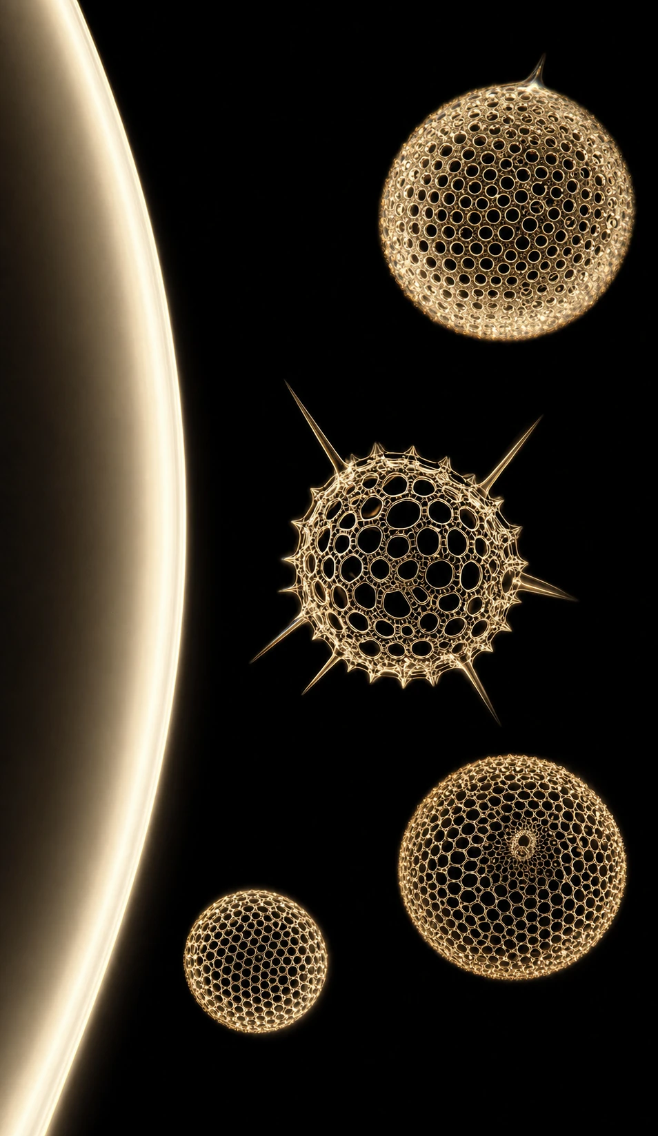 A dramatic dark composition featuring glowing golden microscopic radiolarian-like spherical structures floating against black, with a luminous curved edge on th