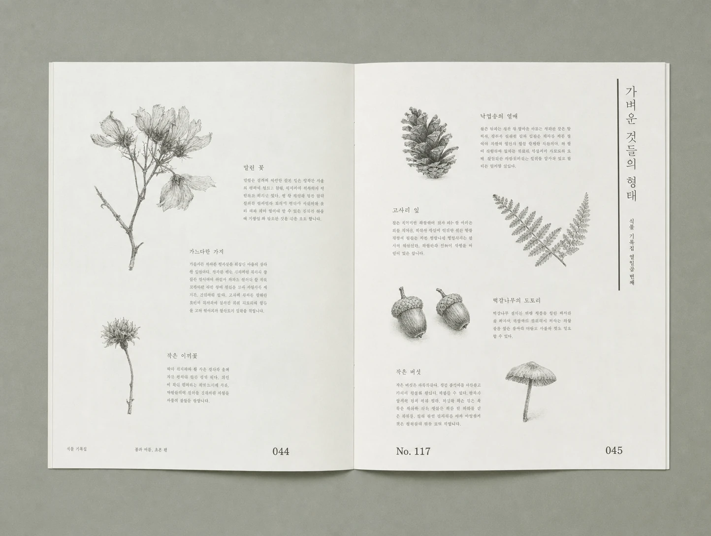 An open botanical journal spread featuring delicate pencil illustrations of plants and natural objects accompanied by elegant Korean text annotations.