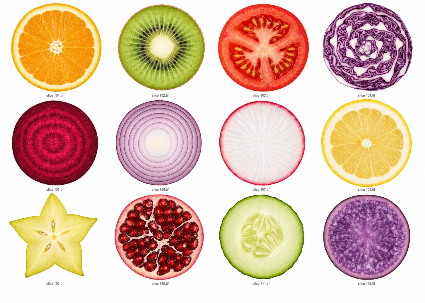 A grid catalog of cross-sectioned fruit and vegetable slices photographed on pure white, each labeled with a small filename caption.