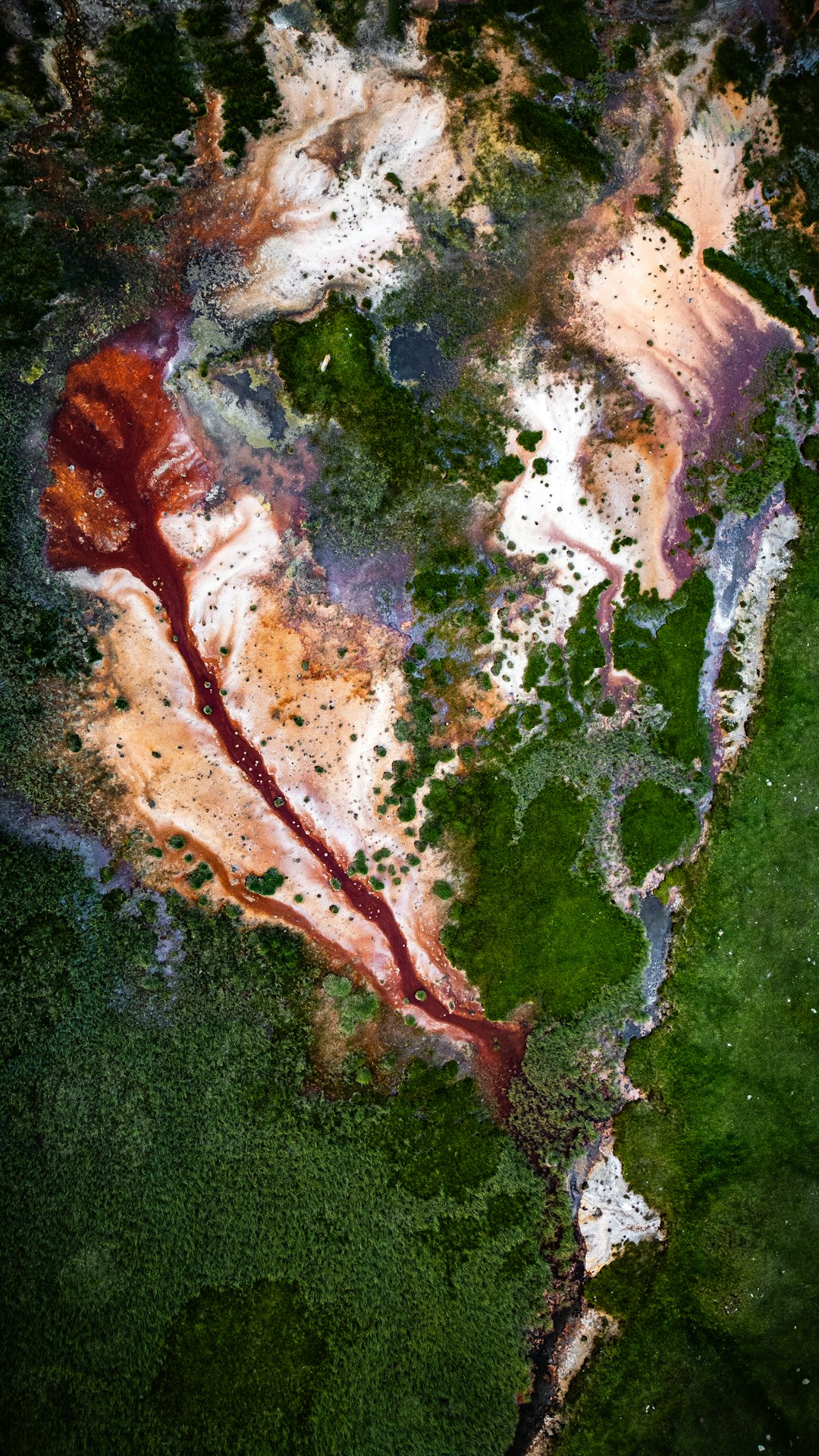This is an aerial view of a landscape featuring a winding river or waterway cutting through a vibrant green area. The water is not a uniform color; instead, it displays a striking array of hues, including deep reds, oranges, beige, and white. These colors likely come from sediment, algae, or mineral deposits within the water. The surrounding land is covered in dense, green vegetation, possibly a marsh or wetland. The contrast between the colorful water and the green land creates a visually stunning and abstract pattern. The texture of the water appears to be swirling and layered, suggesting currents or different concentrations of materials. The overall impression is one of natural beauty and geological complexity.
