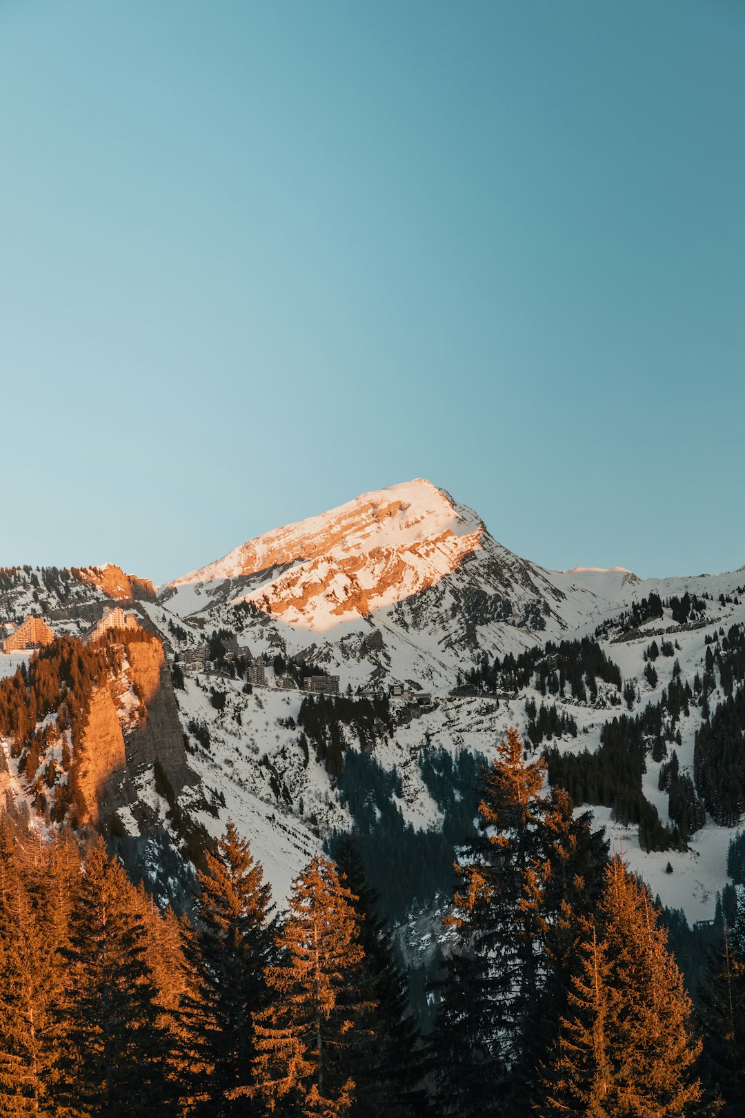 The image captures a majestic mountain range covered in snow. The peak of the central mountain is illuminated by warm sunlight, creating a striking contrast with the cool blue of the sky. The slopes of the mountain are densely forested with evergreen trees, their dark green foliage providing a visual anchor to the bright white snow. The sky is a clear, pale blue, suggesting a crisp, cold day. The overall impression is one of serene beauty and the grandeur of nature.