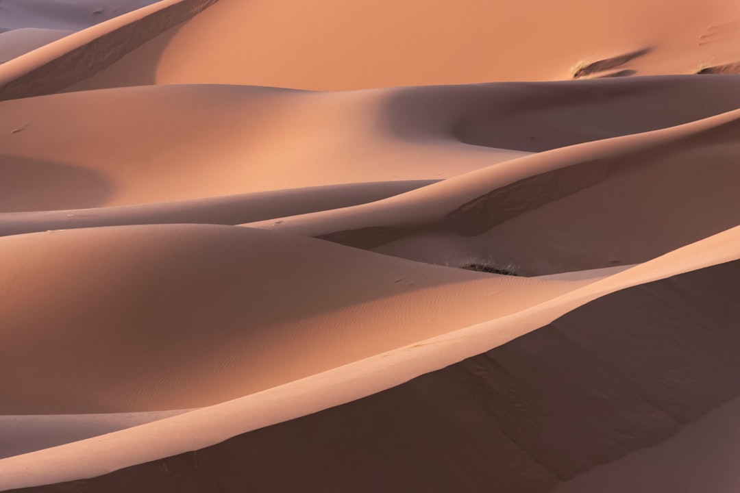 The image showcases a stunning landscape of rolling sand dunes in a desert environment. The dunes are a warm, reddish-brown color, with soft, flowing curves and ridges. The sunlight casts dramatic shadows, creating a strong contrast between light and dark areas, emphasizing the texture and shape of the dunes. The composition is abstract, focusing on the patterns and forms created by the sand, with no visible horizon or sky. The overall effect is one of serene beauty and natural artistry.