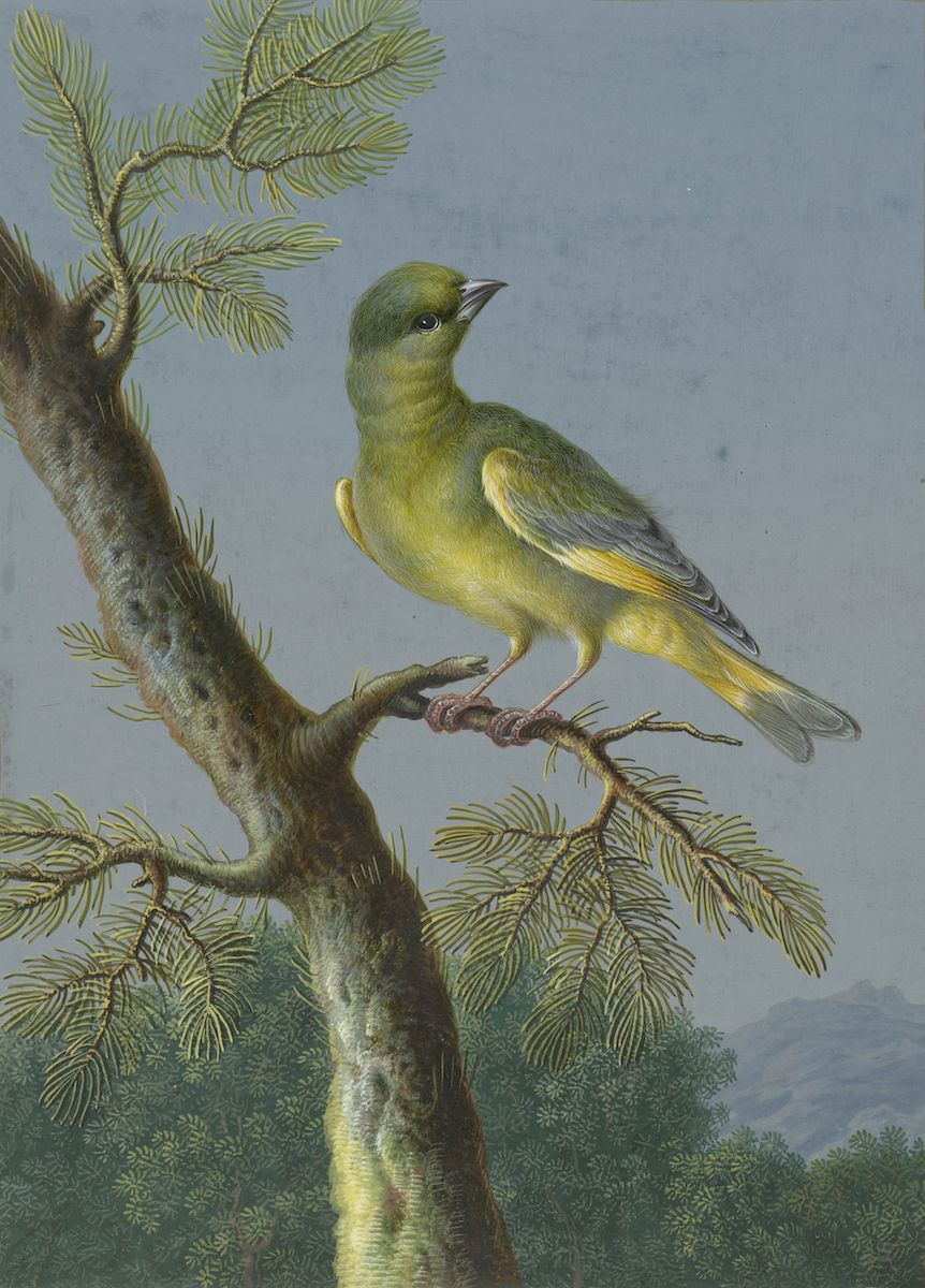 A vintage-style painting of a small, yellow-green bird perched on a dark, gnarled tree branch.