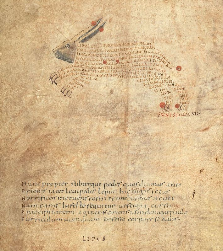 A page from a medieval manuscript with an illustration of a hare and surrounding Latin text.