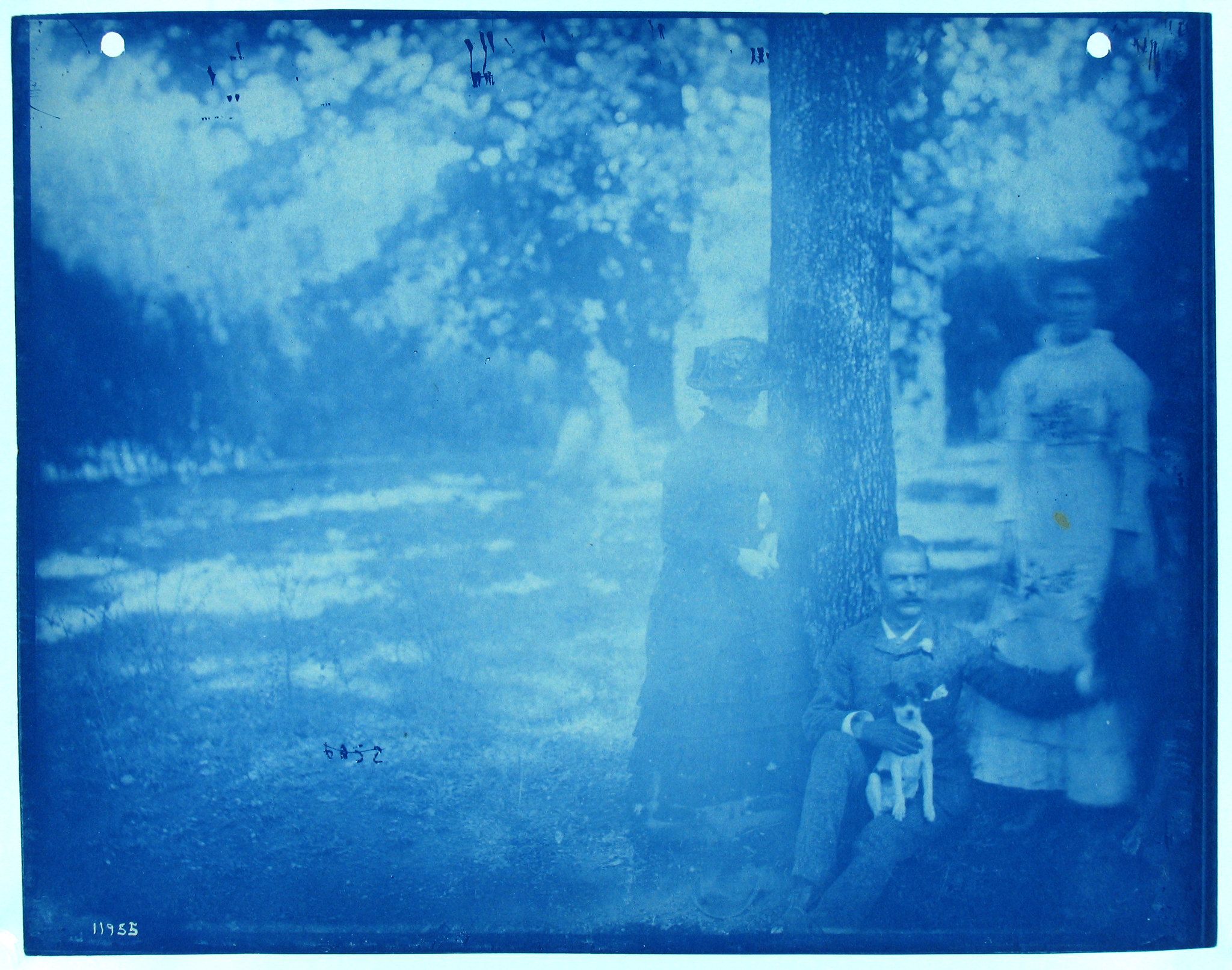 A cyanotype photograph of a person standing near a tree with a ladder, in an outdoor setting.