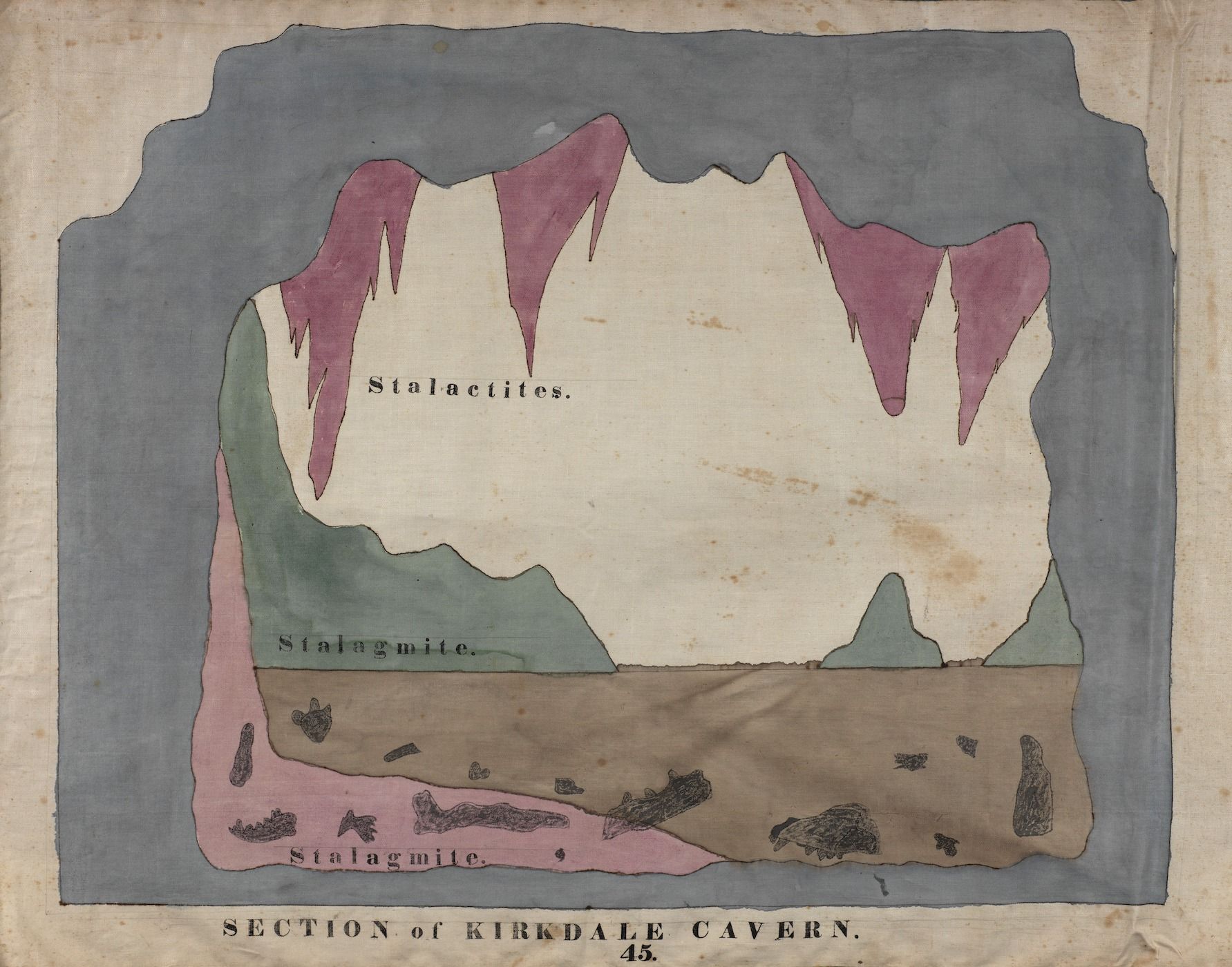 A hand-colored lithograph depicting a cross-section of Kirkdale Cavern, showing stalactites hanging from the ceiling and stalagmites rising from the floor.