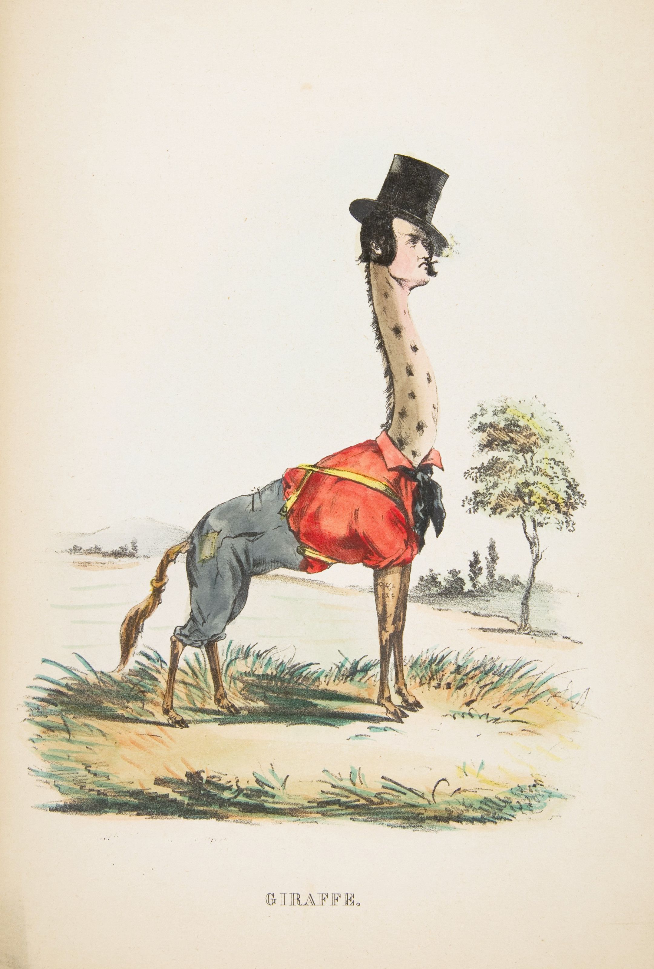 A whimsical illustration of a giraffe dressed in human clothing, standing in a grassy field.