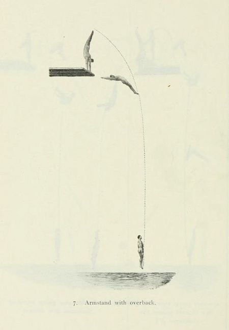 Vintage illustration of a diver performing an armstand with an overback dive.