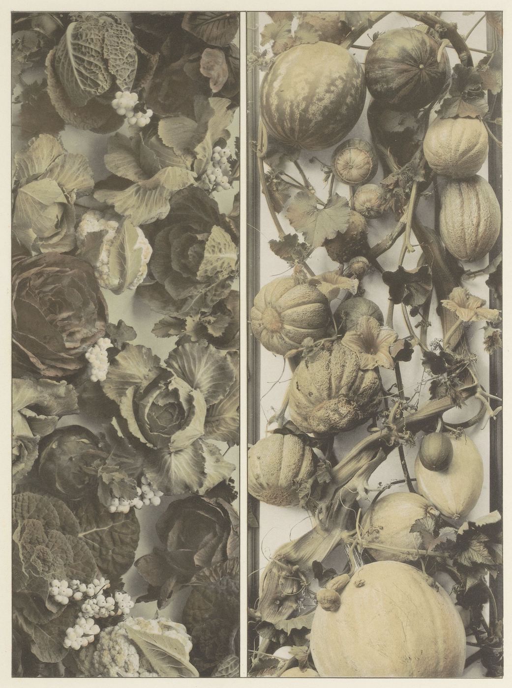 A sepia-toned photograph of a dense arrangement of pumpkins and gourds, divided into two vertical panels.