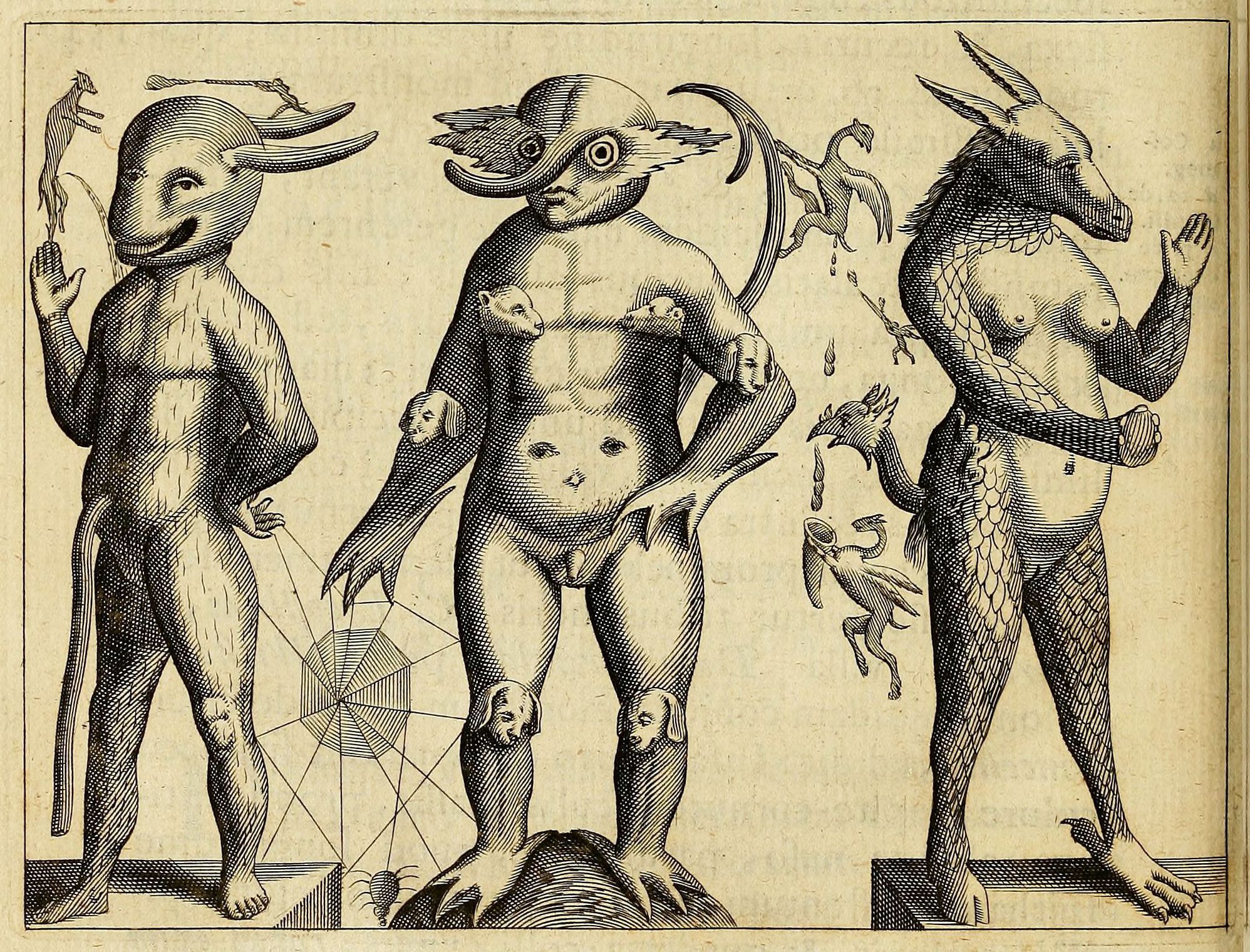 A black and white engraving depicting three fantastical creatures with humanoid bodies and animal heads, standing on small platforms.