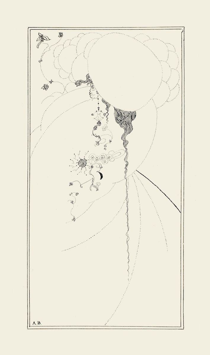 A vintage-style botanical illustration featuring a tall, slender plant with intricate leaves and flowers, surrounded by radiating dotted lines and framed by a rectangular border.
