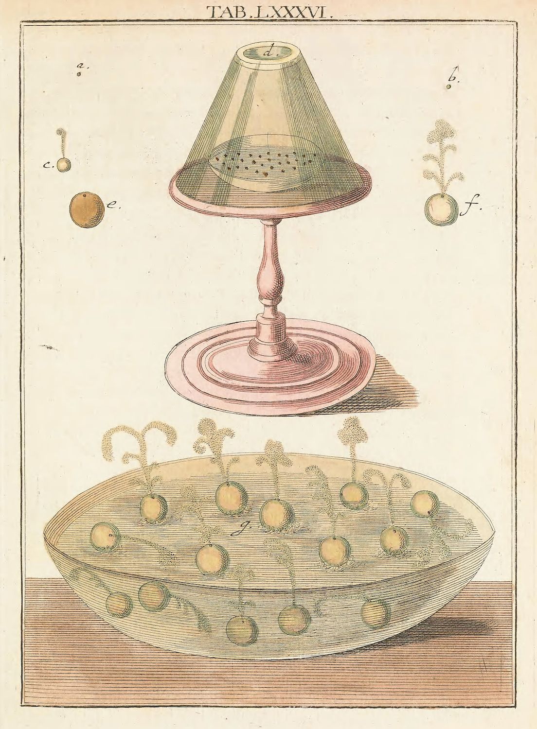 Vintage scientific illustration of a glass apparatus with liquid and bubbles over a dish.