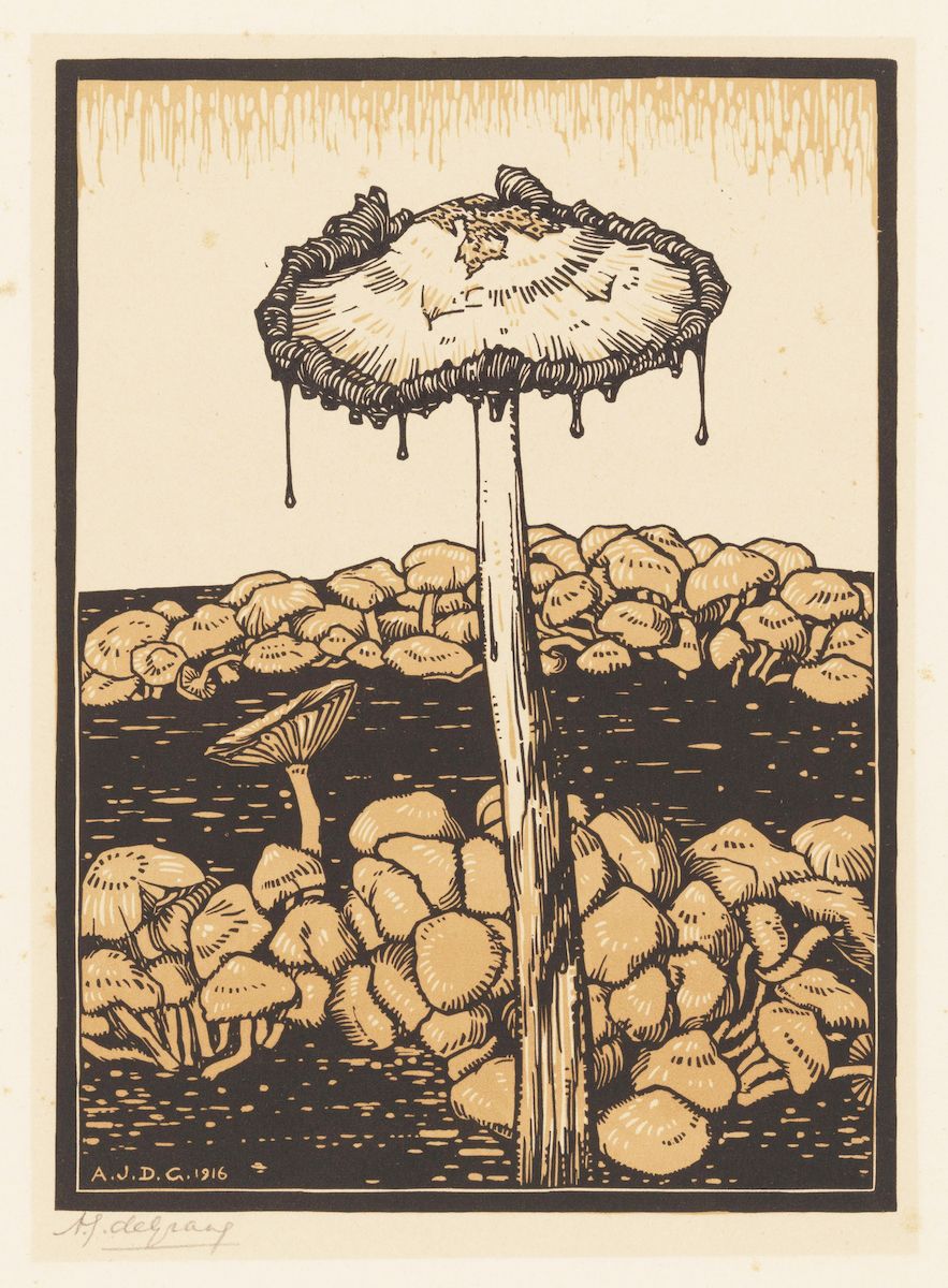 A woodcut illustration from 1916 featuring a large mushroom with droplets dripping from its cap, surrounded by a cluster of smaller mushrooms and plant life.