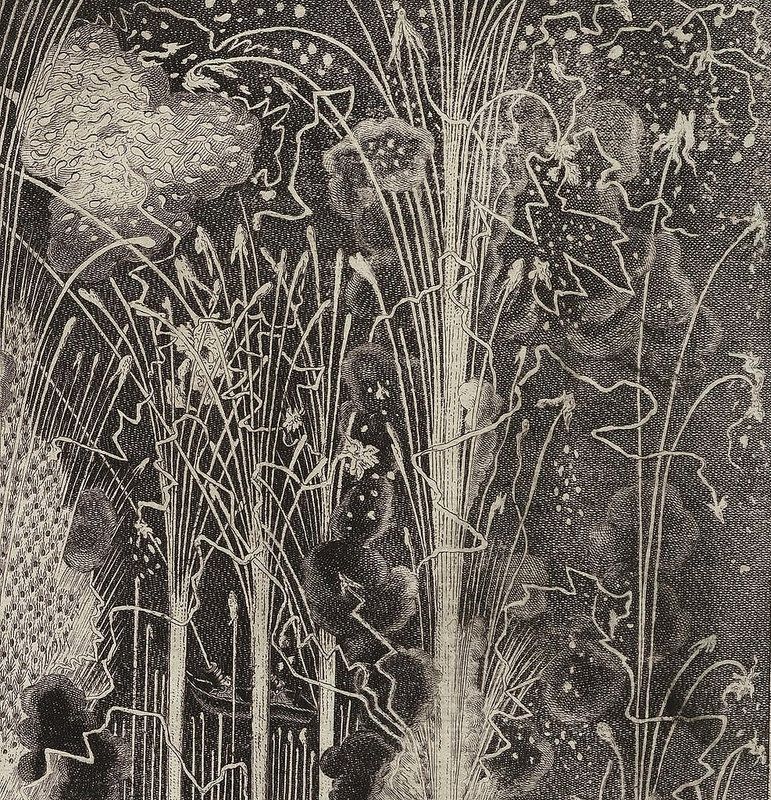 A black and white drawing of a dense field of plants with intricate linear patterns and textures.