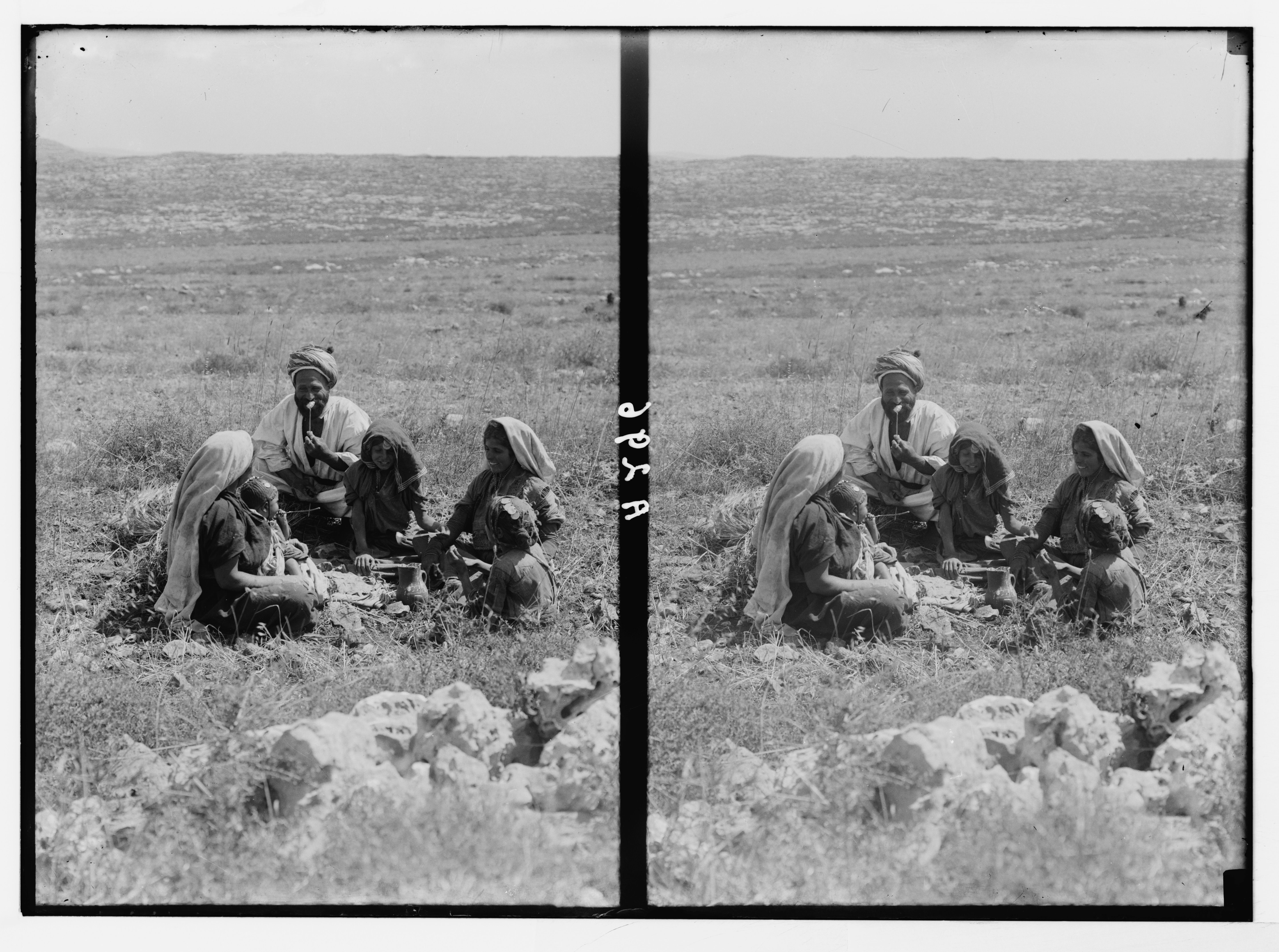 Stereoscopic photograph of a group of people working in a field, sorting or processing fluffy white material. They are dressed in light-colored clothing and wear head coverings. The landscape is dry and barren.