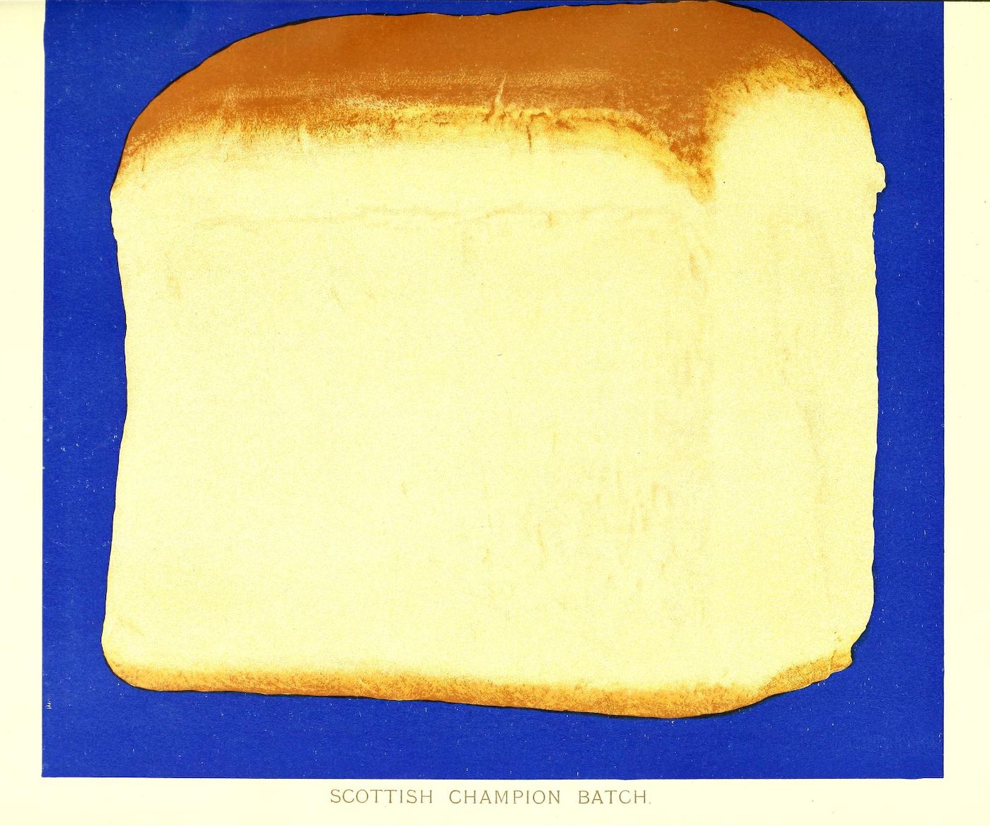 A slice of bread against a blue background with the text "SCOTTISH CHAMPION BATCH."