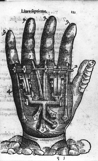 Vintage anatomical illustration of a human hand with numbered labels pointing to internal structures.