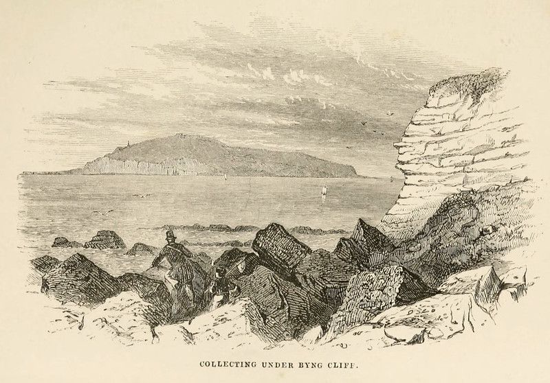 Vintage illustration of people collecting under Byng Cliff, with a rocky beach, steep cliff face, and distant island.