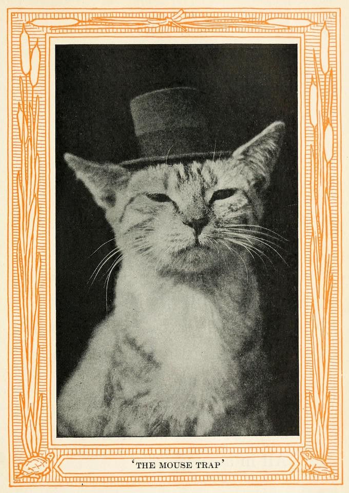 A vintage black and white photograph of a cat wearing a top hat, framed by an ornate border with the caption 'THE MOUSE TRAP'.