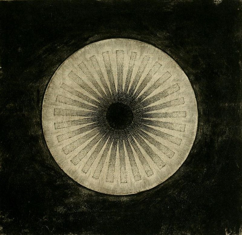 Close-up illustration of an eye with a detailed iris and dark pupil against a black background.