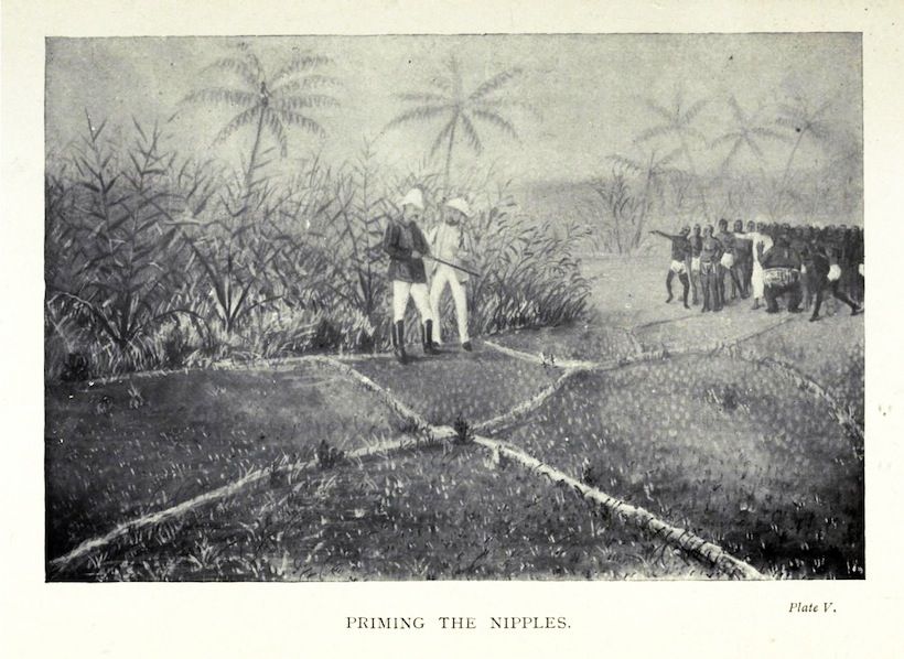 A black and white illustration depicting a scene of colonial-era punishment, with a white man overseeing a group of people being subjected to physical punishment in a tropical setting.