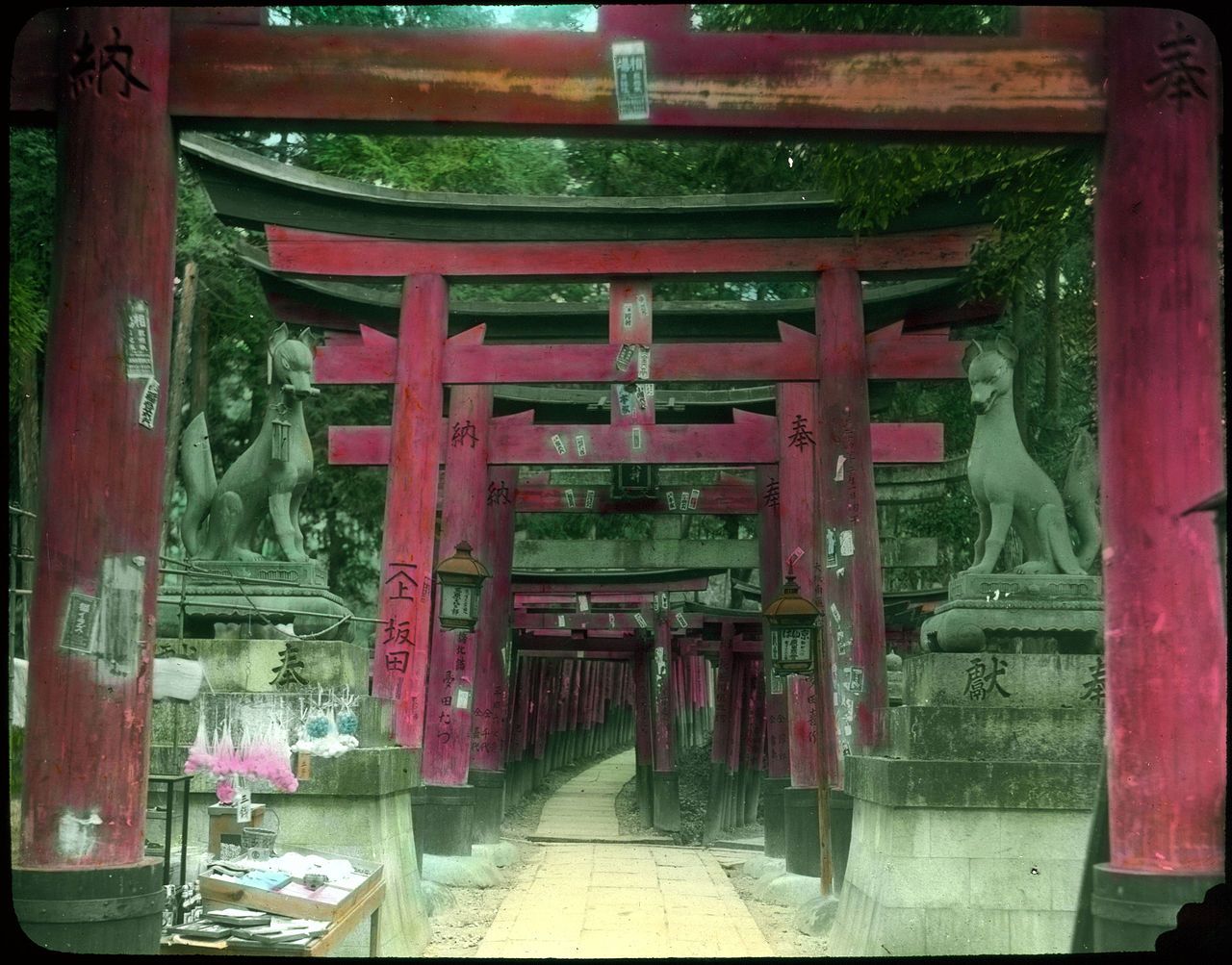 A vibrant, historic scene of a Shinto shrine in Japan, featuring a large red torii gate flanked by stone fox statues.