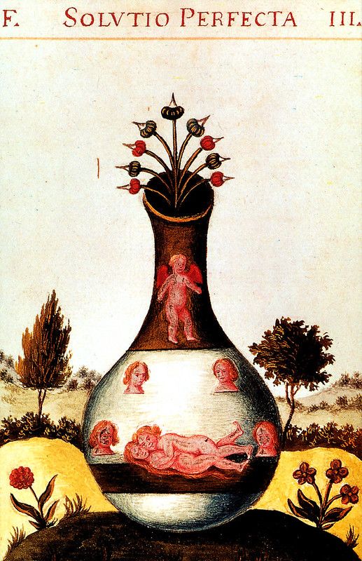 An illustration of a vase with flowers and cherubs, labeled 'F. SOLVTIO PERFECTA III.'