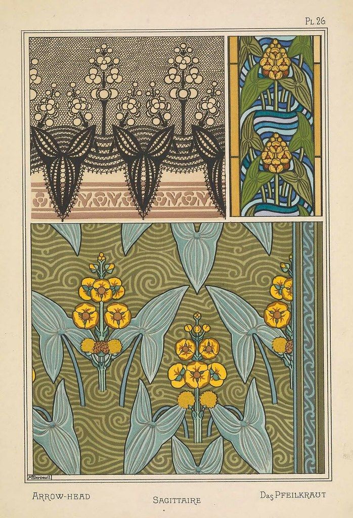 Vintage botanical illustration of arrowhead plants with detailed leaves and yellow flowers, labeled in English, French, and German.