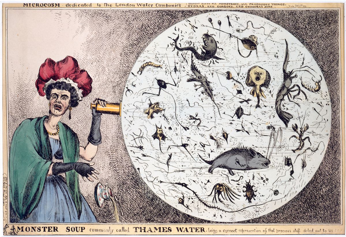 A political cartoon titled "Microcosm" dedicated to the London Water Companies, depicting a scientist looking through a microscope at a circular field filled with microscopic creatures and debris.