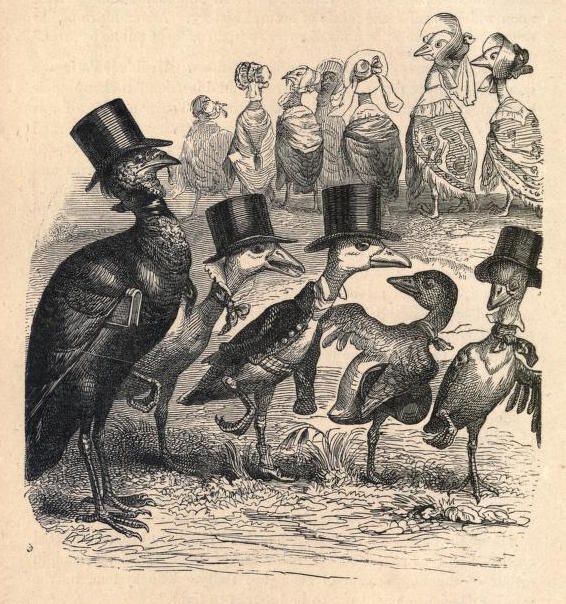 A vintage black and white illustration of anthropomorphic turkeys dressed in formal attire, standing on a patch of ground.