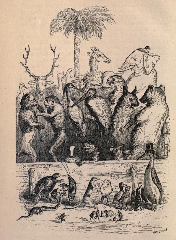 Vintage black and white illustration of a crowded scene with various animals, including monkeys, turtles, snakes, penguins, bears, elephants, giraffes, pelicans, and deer, gathered around a palm tree. A bear is wearing a top hat.