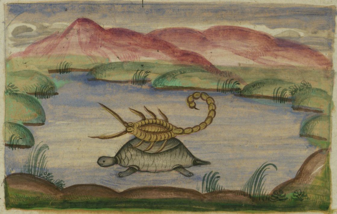 A colorful illustration of a turtle with a scorpion riding on its back in a landscape with water, vegetation, and mountains.