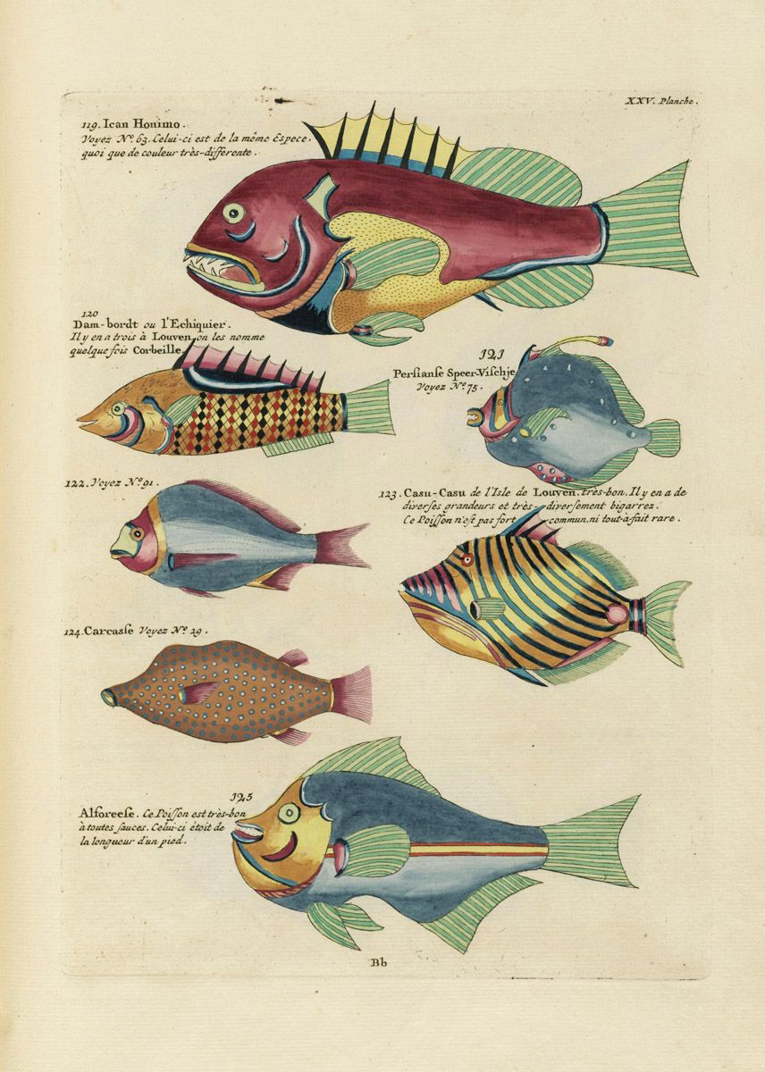 A vintage illustration of six different fish species, each labeled with a number and name, in vibrant colors and detailed patterns.