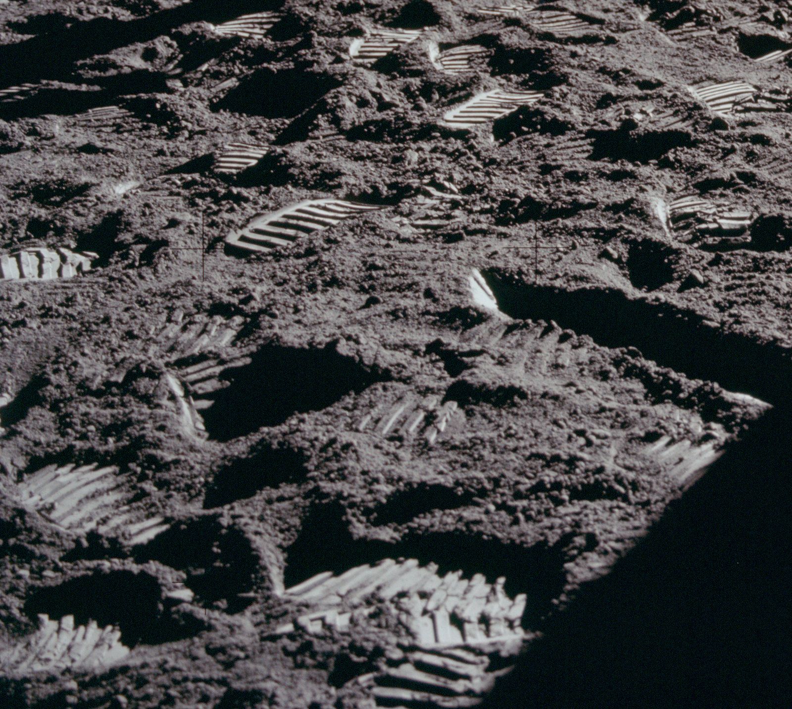 Close-up black and white microscopic view of a surface covered in crystalline structures.