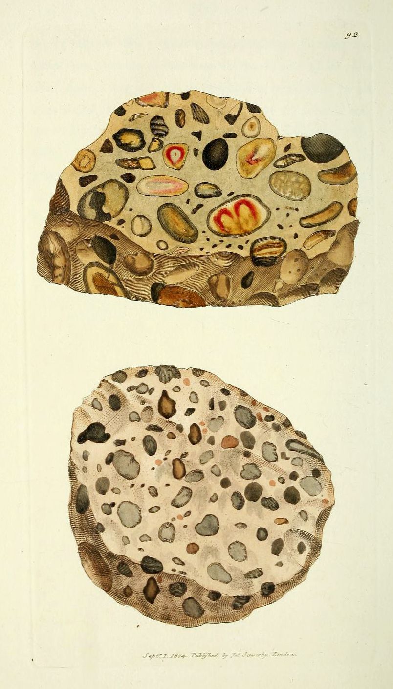 Vintage illustration of a porous rock cross-section with dark spots and holes on a light background.