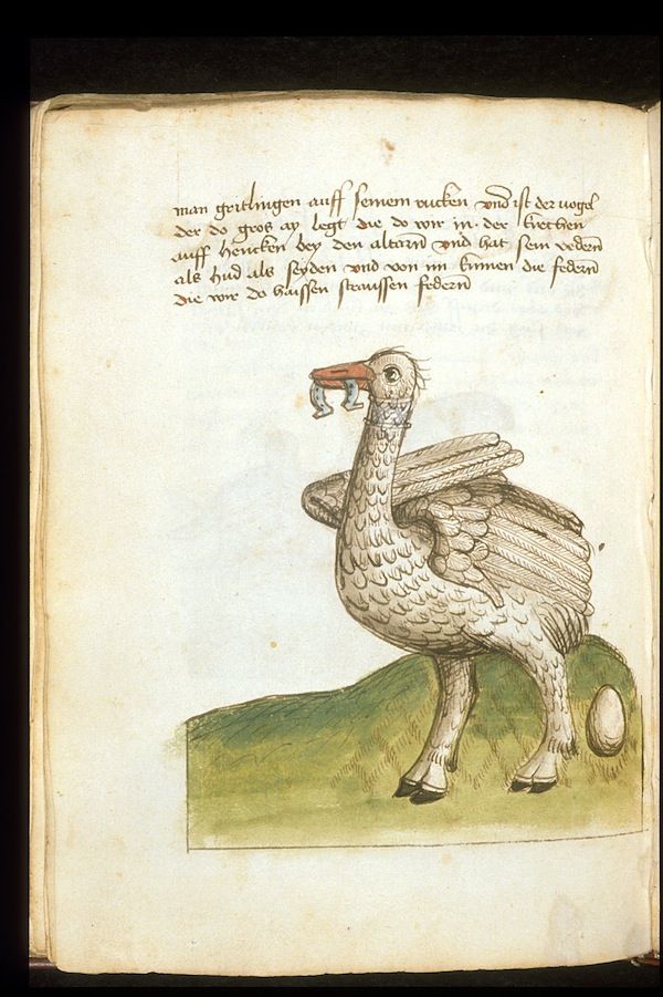 A page from a medieval manuscript featuring a bird holding a cup on a hill with an egg.