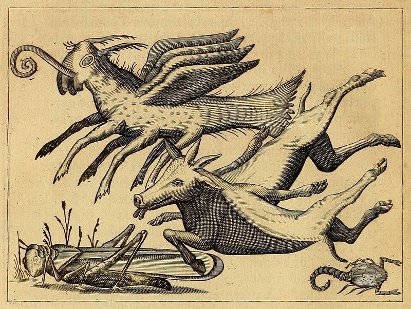 Vintage woodcut illustration of two winged quadrupeds, a small animal near water, and a scorpion.
