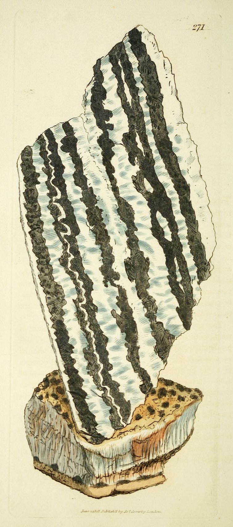 Vintage illustration of a striped rock specimen with dark vertical bands running through a pale blue matrix.