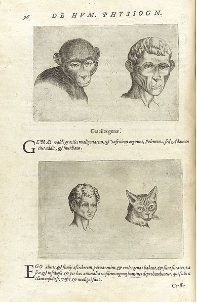 Vintage illustration of a monkey, a man, a young person, and a cat, with Latin text and initial letters.