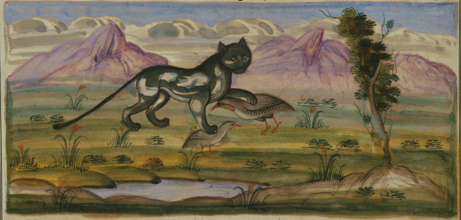 A whimsical painting of a black cat riding a turtle in a landscape with mountains and a pond.