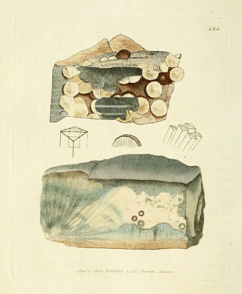 Vintage scientific illustration of a rock formation with coral structures.