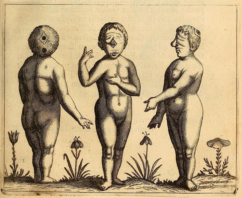 Vintage engraving of three babies with unusual physical features, surrounded by flowers, mushrooms, and flies.