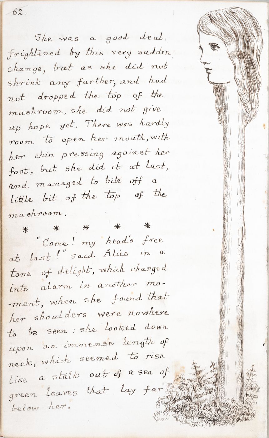 A page from a book with handwritten text and a pencil illustration of a figure with a long neck transforming into leaves.