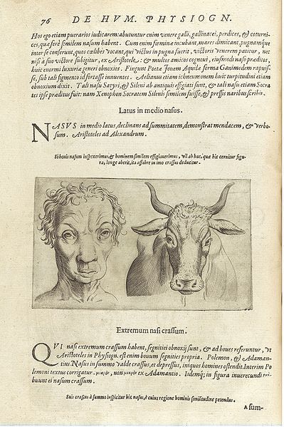 A page from an old book with a woodcut illustration depicting a composite image of a human face and a bull head.