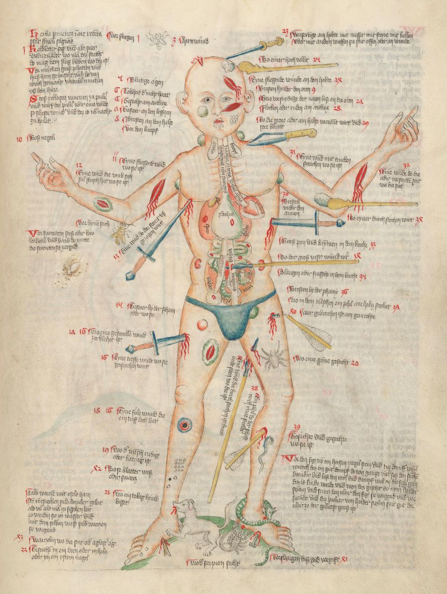 A detailed, colorful anatomical illustration from a medieval manuscript depicting a nude male figure with labeled organs and circulatory system.