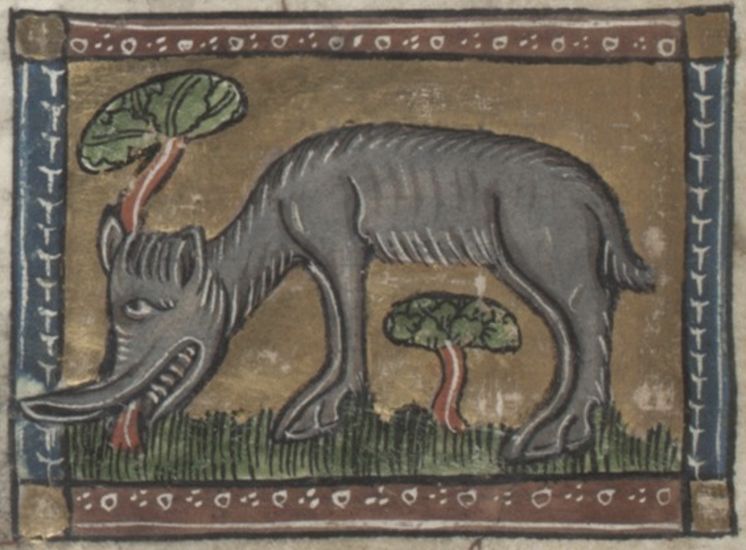 Medieval illustration of an elephant with two small trees.