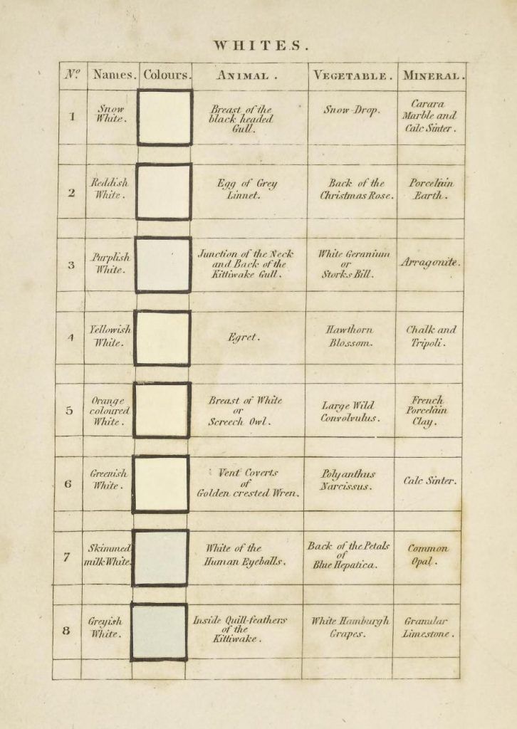 A vintage chart titled "WHITES.", presenting a comparative analysis of white shades found in animals, vegetables, and minerals.