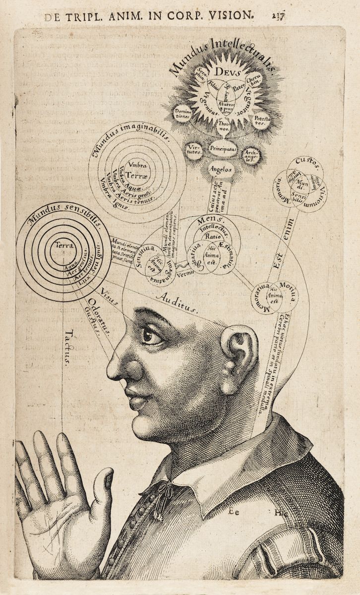 Antique engraving of a man's head with a complex diagram overlaid, representing the senses and intellect.